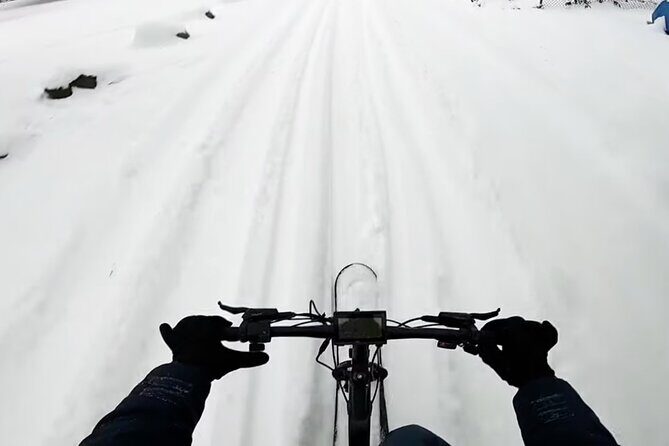 Kelowna Snow E-Biking Adventure with Lunch, Wine Tasting & S'mores - Detailed Breakdown of the Itinerary
