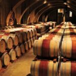 Kelowna Wine Cider Spirits Beer Tour - What to Expect from the Tour Experience