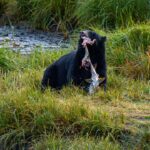 Ketchikan: Private Customizable Boat Tour with Captain Jack - What to Expect During Your Tour