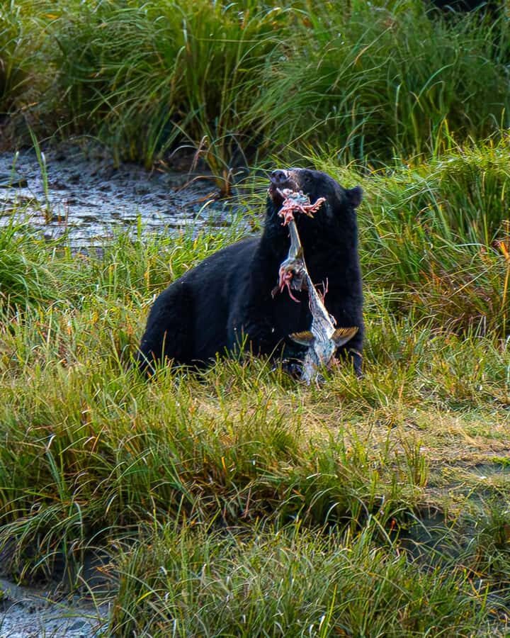 Ketchikan: Private Customizable Boat Tour with Captain Jack - What to Expect During Your Tour