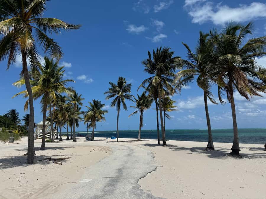 Key Biscayne: Self-Guided E-bike Tour - Final Thoughts: Is It Worth It?