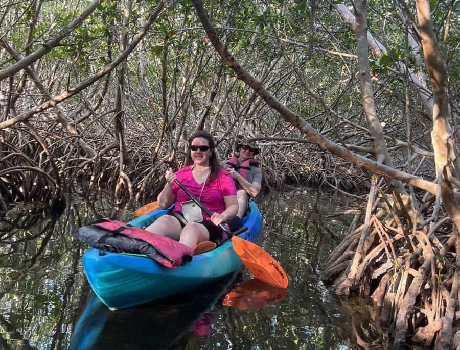Key West: 3-hour Mangrove Kayak Tour - Why This Tour Offers Value