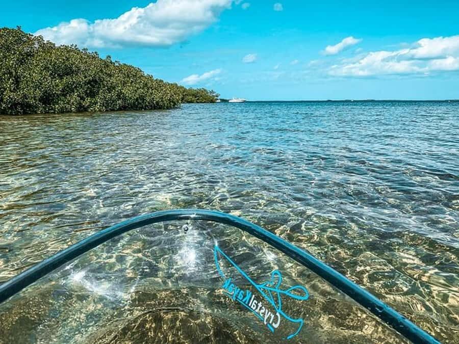 Key West Area: Guided Clear Kayak Eco-Tour - Who Should Consider This Tour?