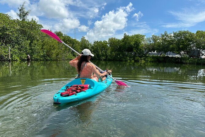 Key West Clear Kayak Eco Tour - Final Thoughts: Why You Should Consider the Key West Clear Kayak Eco Tour