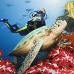 Key West Day Tour Tailor Made - What Makes This Tour Stand Out