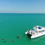 Key West: Dolphin & Reef Snorkel Trip with Sunset Option - The Crew and Guides: Knowledgeable and Friendly
