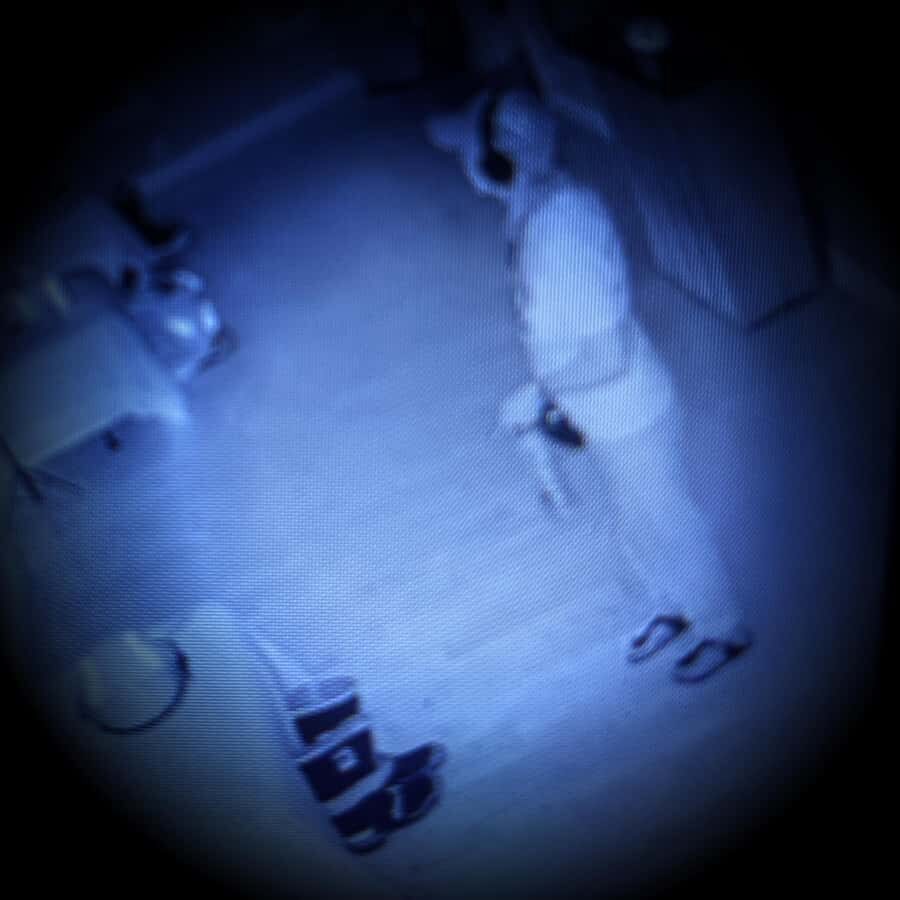 Key West: Haunted Firehouse Tour and Ghost Hunt - An In-Depth Look at the Haunted Firehouse Tour in Key West