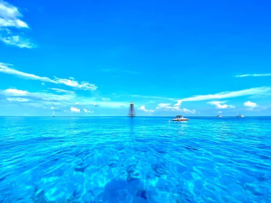 Key West: Reef Snorkel Morning Tour with Breakfast & Mimosas - A Deep Dive into the Key West Reef Snorkel Tour Experience