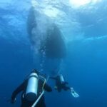 Key West: Vandenberg Wreck Dive - An In-Depth Look at the Vandenberg Wreck Dive Experience