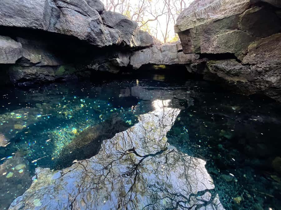 Kholo coast hike and aqua blue swim with Native Hawaiian - Detailed Review of the Kholo Coast Hike and Aqua Blue Swim Experience