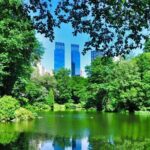 Kid Quest in New York, Central Park: Outdoor Detective Game - What to Expect: Experience, Value, and Practicalities