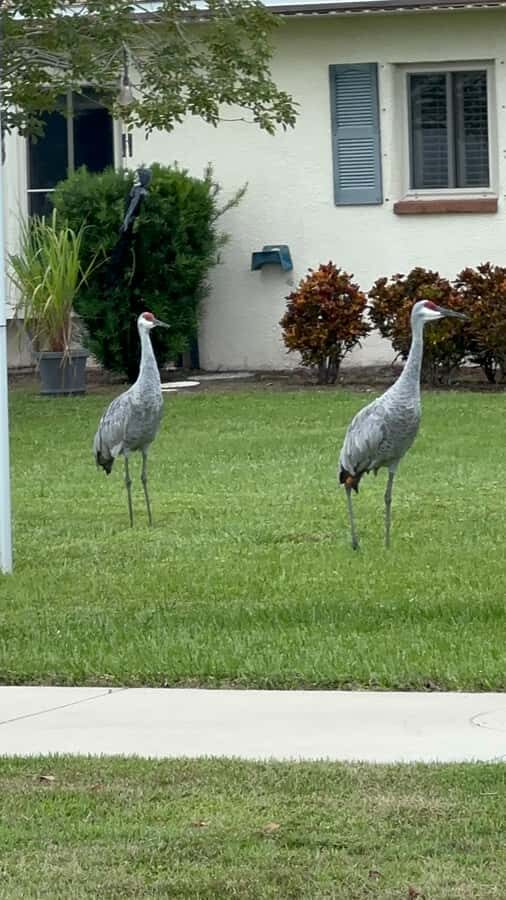 Kissimmee: 4-Hour Electric Mountain Bike Lakefront Tour - The Itinerary in Detail
