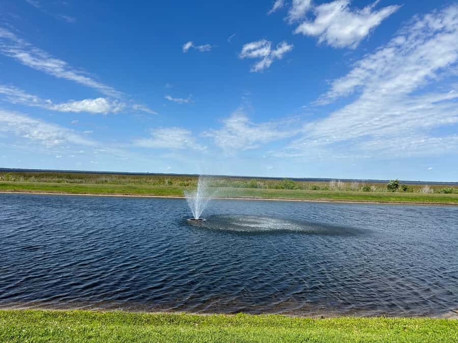 Kissimmee: Self-Guided Lakefront Tour on Electric Bike - Wildlife and Nature Encounters