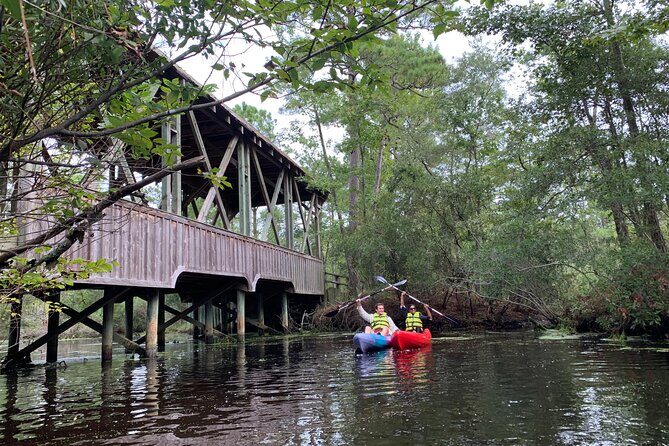 Kitty Hawk Maritime Forrest and Marsh Tour - Why Choose This Tour?