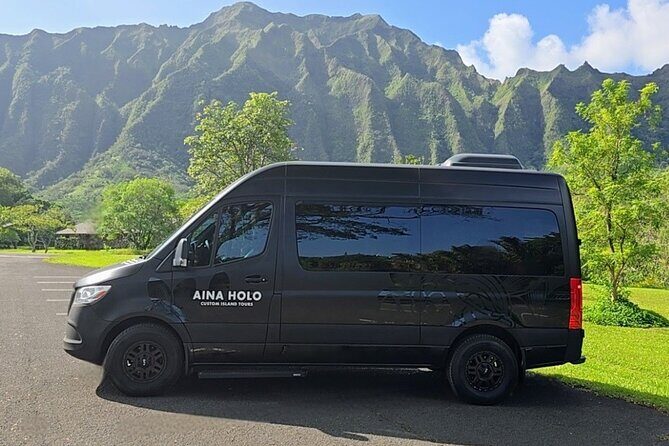 Ko Olina Kapolei Private Airport Transfer Up to 10 Guests - A Practical and Well-Designed Airport Transfer