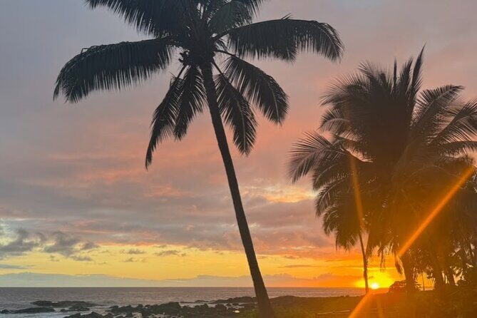 KOA to Waikoloa Resorts Luxury Private Round Trip Transfer - Why Choose Private Transfers on the Big Island?