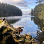Kodiak: Rainforest Hike with Naturalist Guide - Wildlife & Natural Highlights