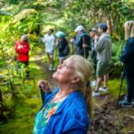 Kona: Cloud Forest, Coffee Farm, and Turtle Beach Tour - Frequently Asked Questions