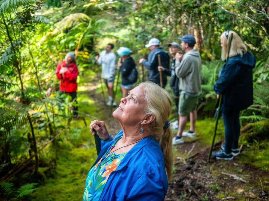 Kona: Cloud Forest, Coffee Farm, and Turtle Beach Tour - Frequently Asked Questions