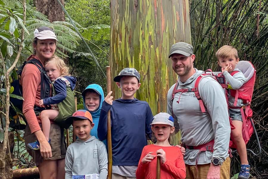 Kona Cloud Forest Sanctuary: Pan-Tropical Trail Guided Walk - An Honest Look at the Kona Cloud Forest Guided Walk