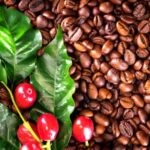 Kona: Coffee and Sea Turtles Tour - A Detailed Look at the Kona: Coffee and Sea Turtles Tour