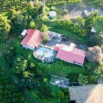 Kona Coffee Farm Tour - A Detailed Look at the Kona Coffee Farm Tour