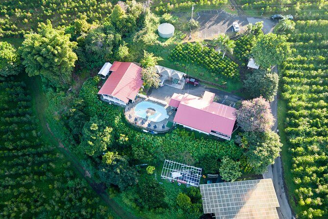 Kona Coffee Farm Tour - A Detailed Look at the Kona Coffee Farm Tour