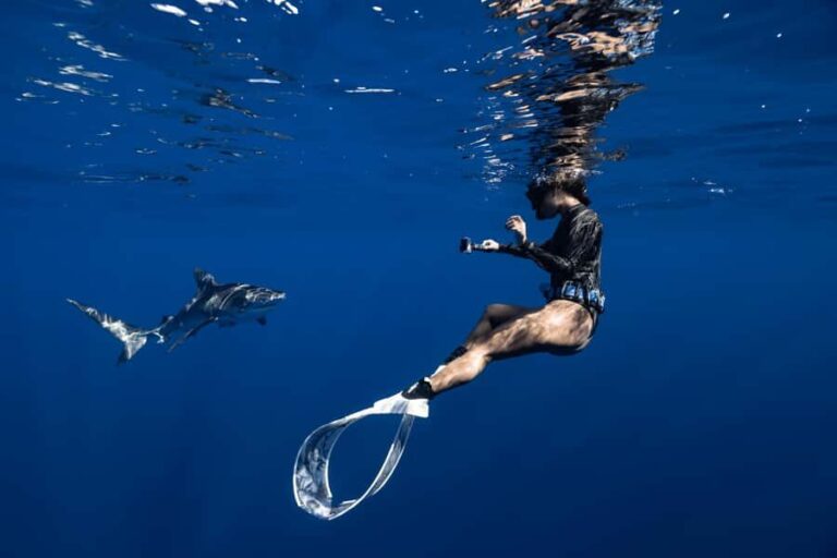 Kona: Small Group Ocean Safari + Snorkel - The Personal Touch and Small-Group Advantage