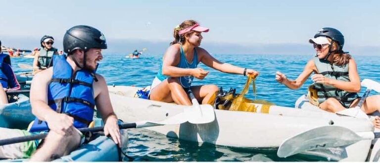 La Jolla: Sea Cave Kayaking Tour with Guide - The Experience in Detail: What to Expect on the Water