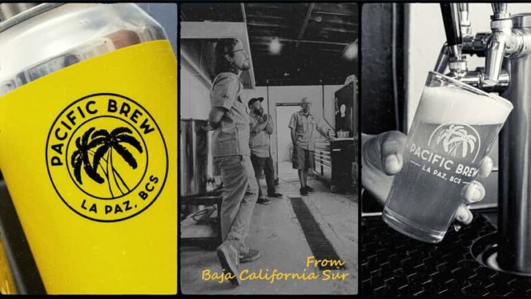 La Paz Cruisers: Craft Beer Tour with Tastings and Ceviche - Who Should Consider This Tour?