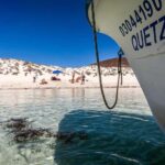 La Paz: Whale Shark and Sea Lions Snorkeling Tour - Why This Tour Stands Out