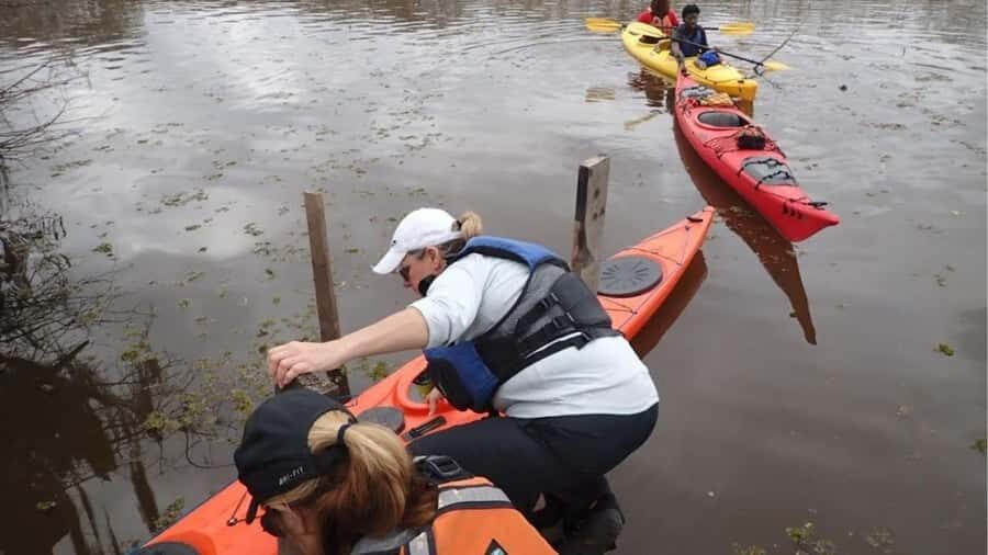 Lake Charlotte Flooded Cypress Forest | Eco Wonderland Tour - In-Depth Review of the Eco Wonderland Tour