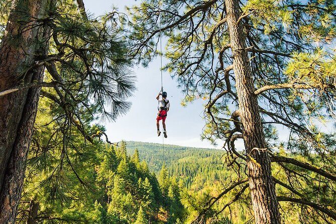 Lake Coeur d'Alene Zipline Tour - The Sum Up: The Perfect Mix of Thrills and Scenic Beauty
