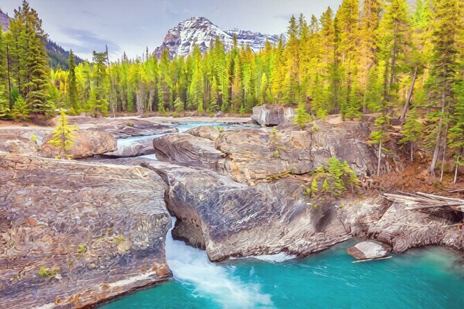 Lake Louise Moraine Lake and Emerald Lake Shuttle - A Deep Dive into the Tour Experience