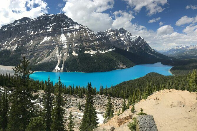 Lake Louise Peyto Lake Bow Lake Crowfoot Glacier Half Day Tour - Exploring the Itinerary in Detail