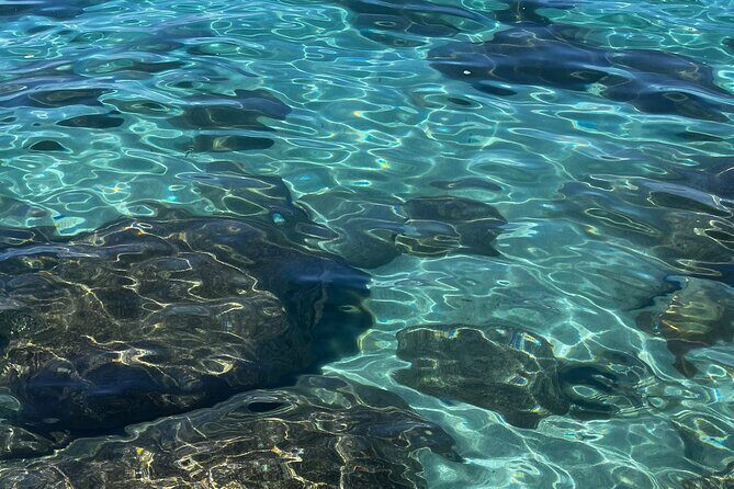Lake Tahoe Clear Kayak Adventure at Stateline Nevada - In-Depth Review of the Lake Tahoe Clear Kayak Adventure
