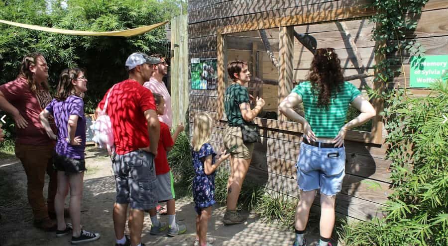 Lamont: North Florida Wildlife Center Guided Tour - A Detailed Look at the North Florida Wildlife Center Guided Tour