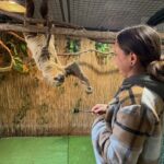 Lamont: Sloth Encounter at North Florida Wildlife Center - What To Expect During Your Visit