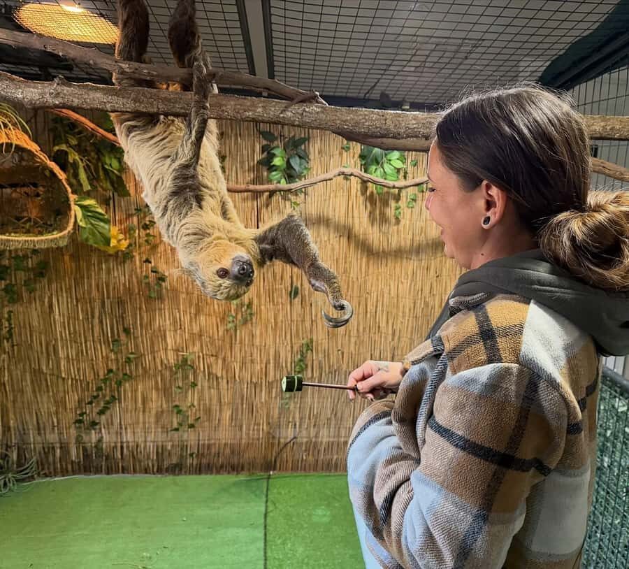 Lamont: Sloth Encounter at North Florida Wildlife Center - What To Expect During Your Visit