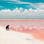Las Coloradas Exploring Tour - Reviews and Traveler Feedback