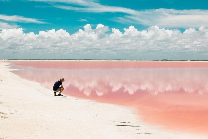 Las Coloradas Exploring Tour - Reviews and Traveler Feedback