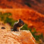 Las Vegas: Antelope Canyon, Bryce, Zion, Horseshoe Bend Tour - The Full Experience: A Detailed Look at the 2-Day Southwest Tour