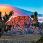 Las Vegas: Private Red Rock Canyon Guided Driving Adventure - Authentic Traveler Perspectives