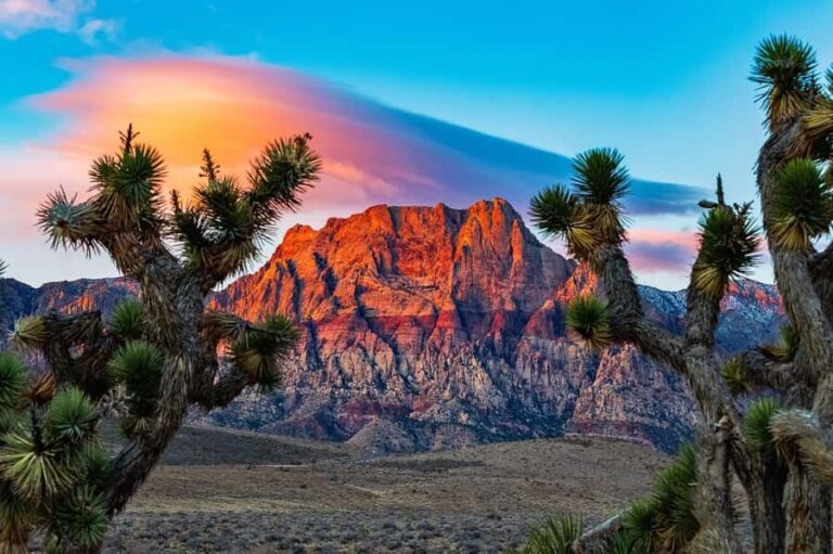 Las Vegas: Private Red Rock Canyon Guided Driving Adventure - Authentic Traveler Perspectives