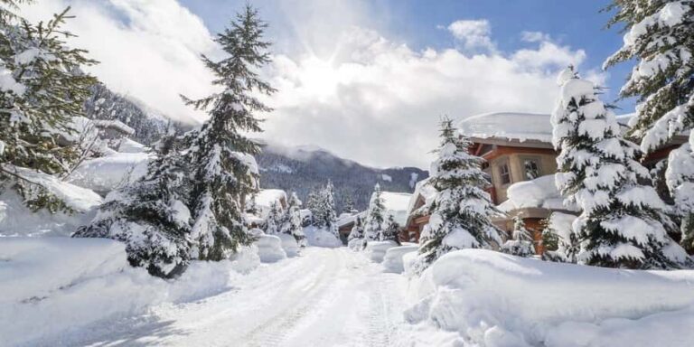 Las Vegas: Ultimate Snowplay Adventure at Mount Charleston - An In-Depth Look at the Mount Charleston Snow Adventure