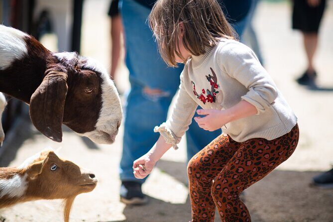 Lavender Farm U-Pick Day Pass - Practical Details and Tips for Visiting