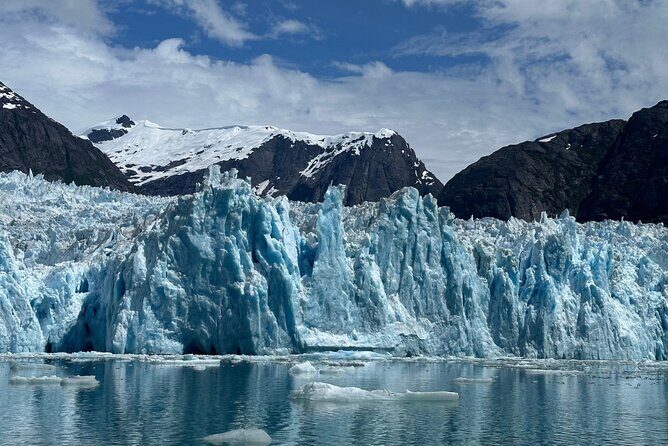 LeConte Glacier Tour and Norwegian Town Exploration - Who Will Love This Tour?