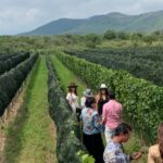 Leon: Tierra de Luz Vineyard Tour with Wine Tasting - Who Will Love This Tour?