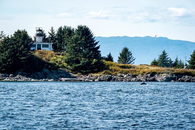 Lighthouse, Totems and Eagles Excursion (Ward Cove) - Why We Love This Tour
