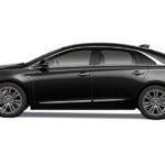 Limousine & Black Car Service - Who Should Consider This Service?